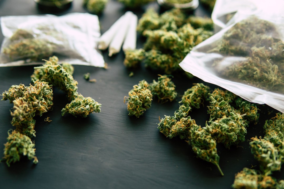Choosing the Right THCA Flower for Your Needs