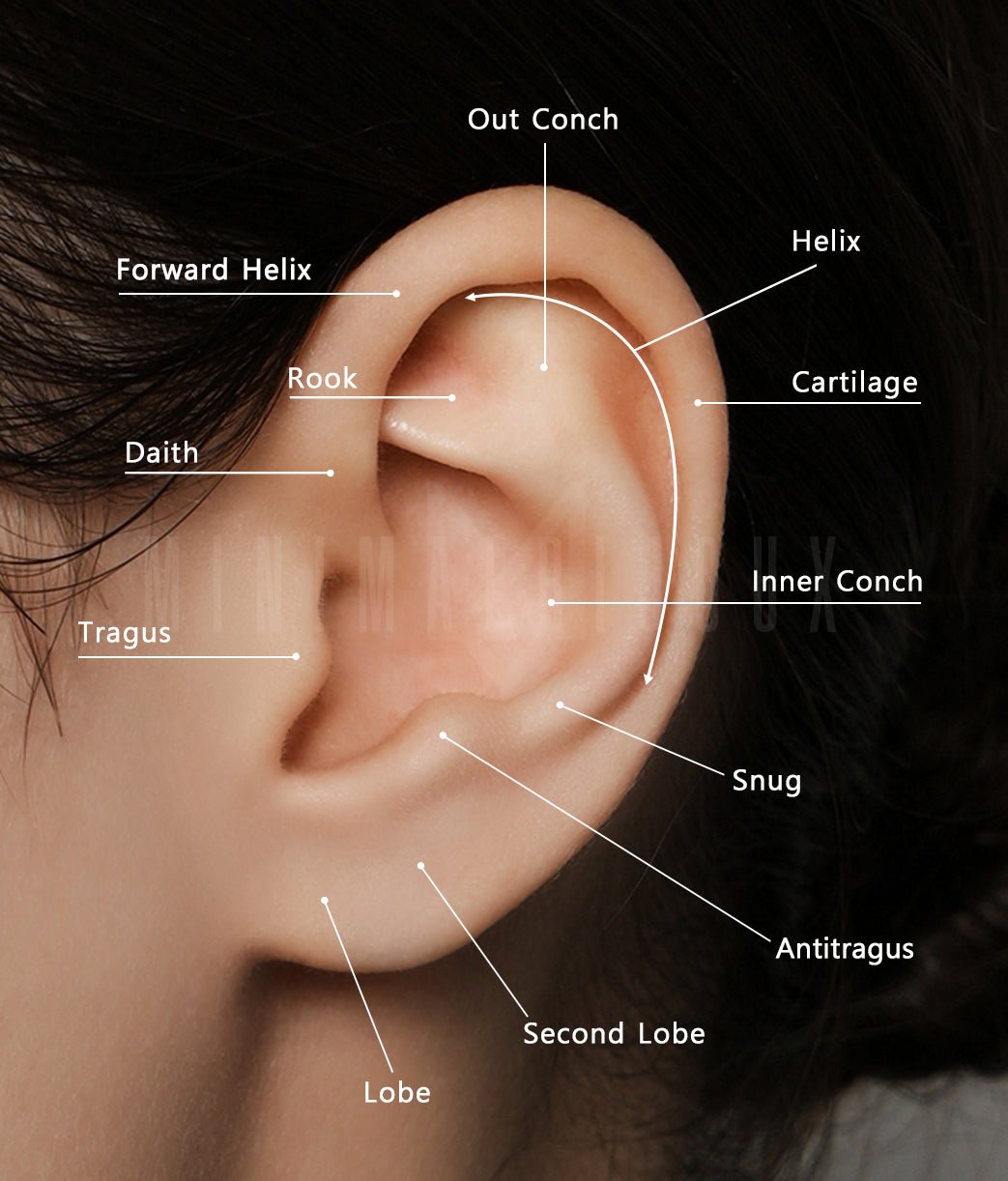 Explore The Cost Of A Second Ear Piercing: How Much Is A Second Ear Piercing