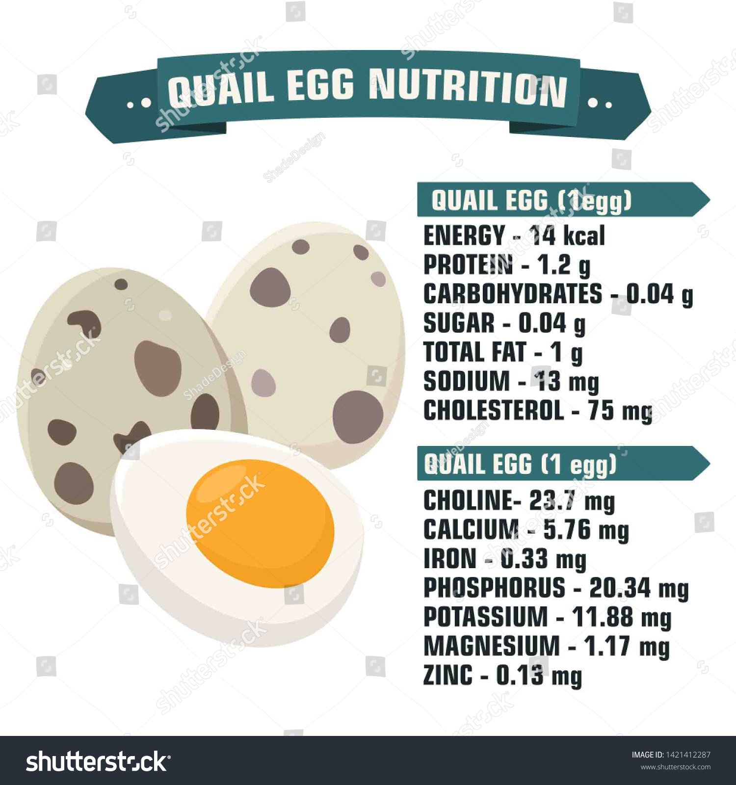 Discover The Protein Content Of A Quail Egg: How Much Protein In A Quail Egg